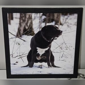 Pooping Black Dog Framed Photo (12"x12")